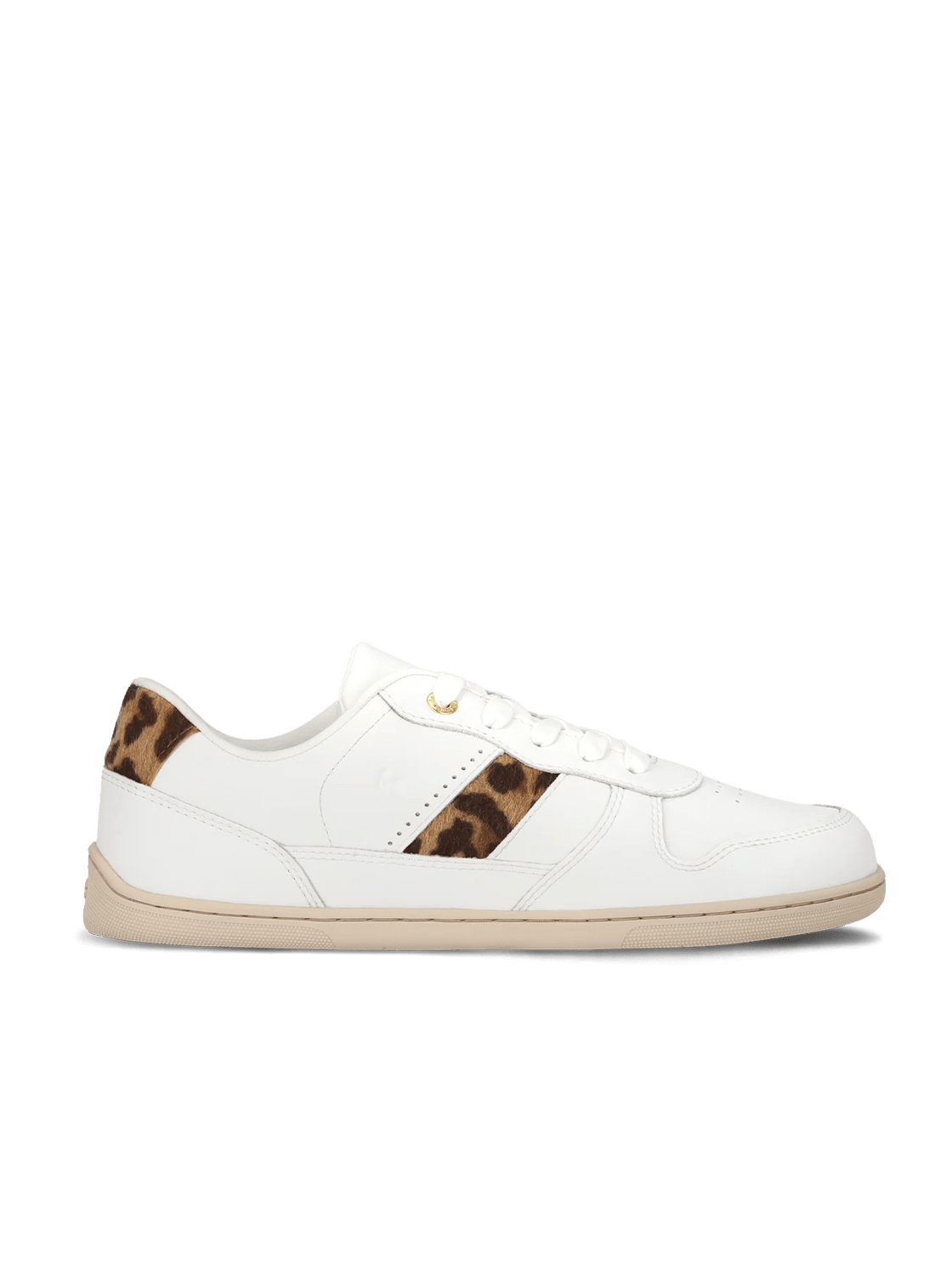 Elegant Cellestia Sneakers - MyMara