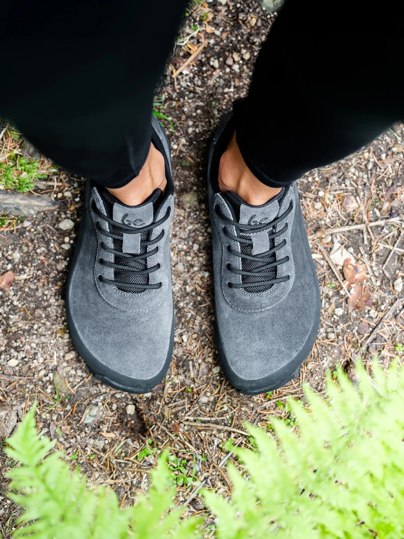 Shoes Trailwalker 3.0 - Trail Running & Hiking - MyMara