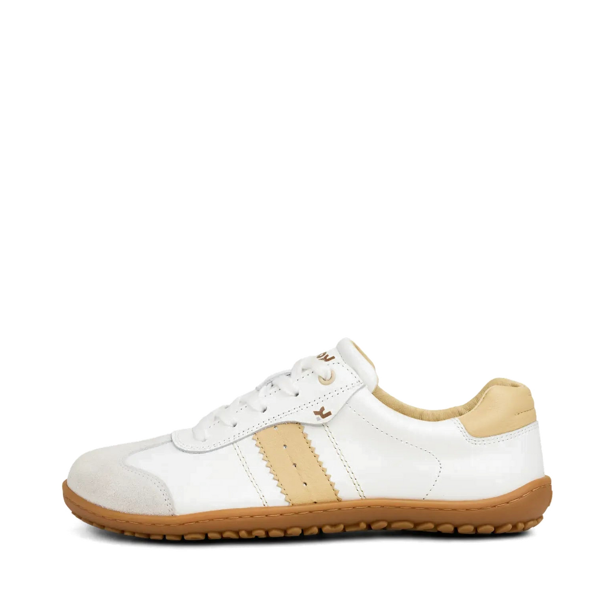 shopify-570e0f7146e146ab8f249acf-287941ce6c9e7d4e