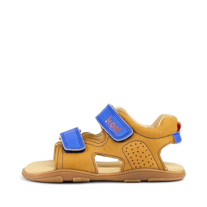 shopify-dacc13948f8ec3c4af58c74f-70c941ad6266c81c